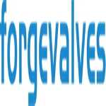 Логотип China Forged Valves Co., Ltd.